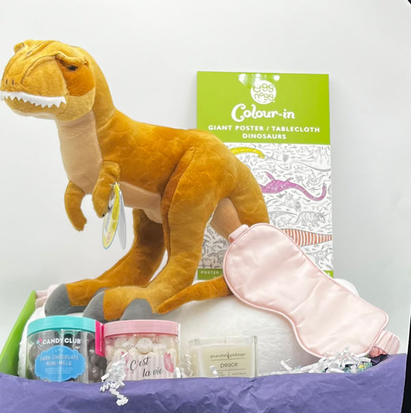 Warmth and Whimsical family Lux Gift Box - Dinosaur